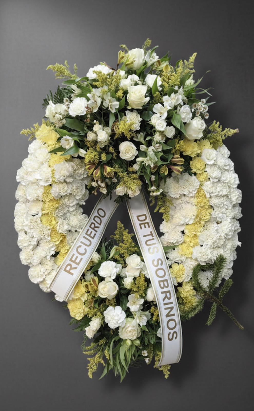 WhatsApp Image 2026-02-18 at 09.00.04